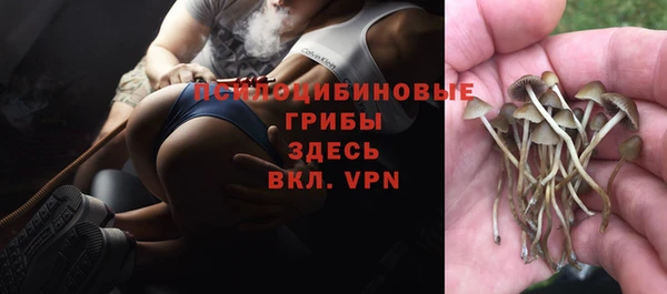 герыч Нефтегорск