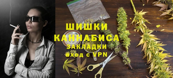 дурь Новодвинск