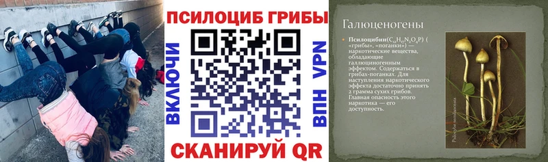Галлюциногенные грибы прущие грибы  OMG как войти  Ивангород 